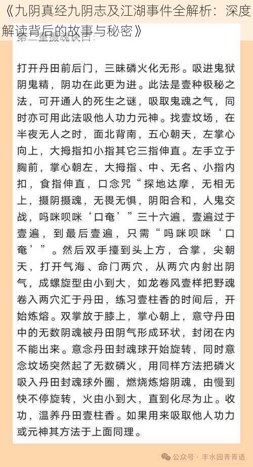 《九阴真经九阴志及江湖事件全解析：深度解读背后的故事与秘密》