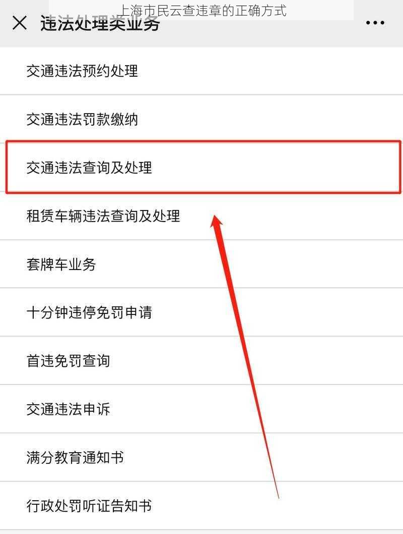 上海市民云查违章的正确方式