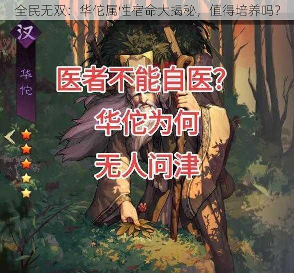 全民无双：华佗属性宿命大揭秘，值得培养吗？